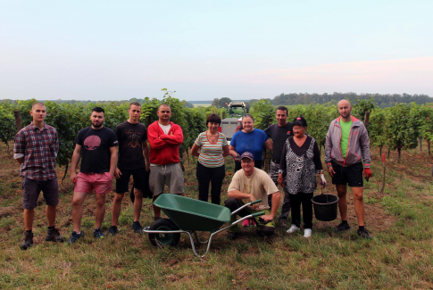 Čas pre zber hrozna a vinobranie